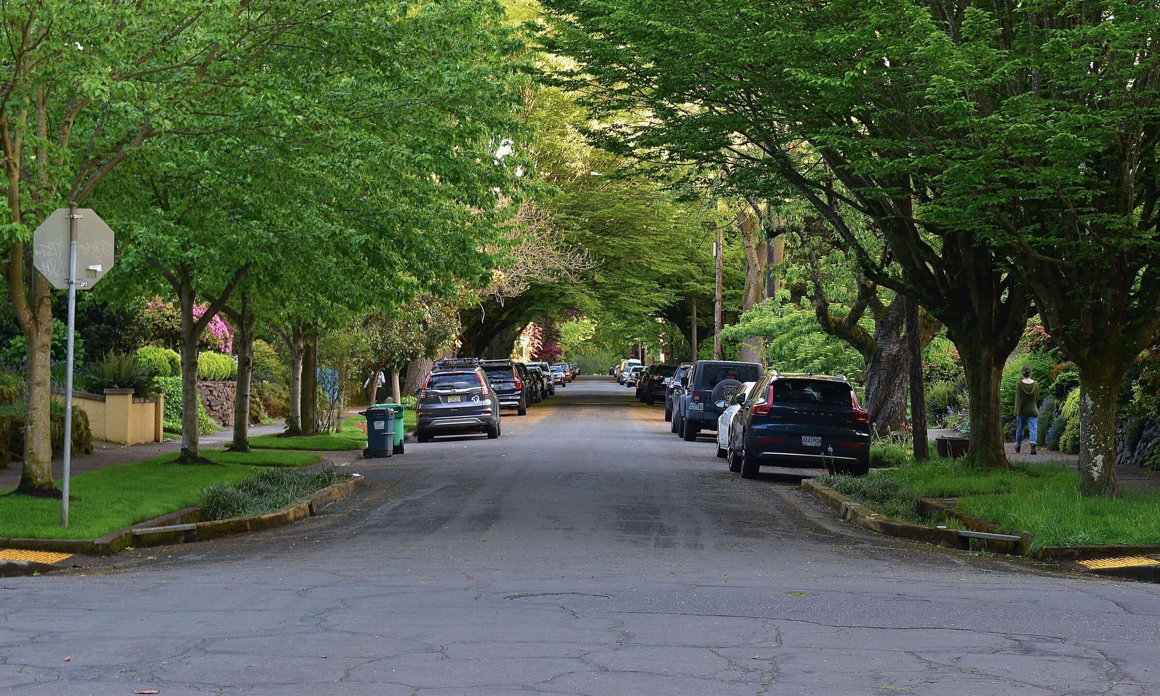 A lush, green neighborhood street on the east side of the Willamette River